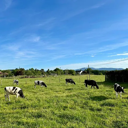 Σπίτι διακοπών Casa Cerdeira Ribeira Sacra