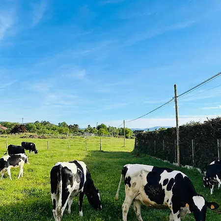 Casa Cerdeira Ribeira Sacra