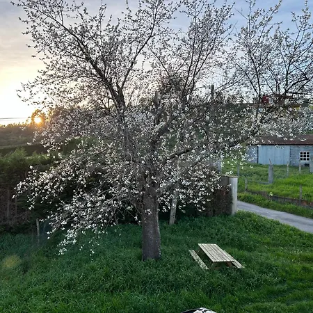 Feriehus Casa Cerdeira Ribeira Sacra
