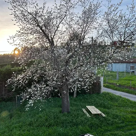 Holiday home Casa Cerdeira Ribeira Sacra